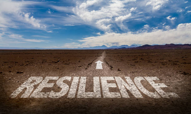 The Road Of Resilience